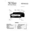 KENWOOD TM-733A Manual de Servicio